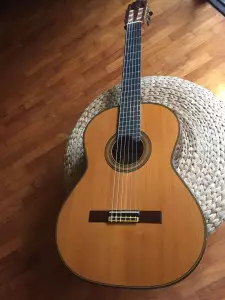 ویژگی و مشخصات گیتار ریموندو 125